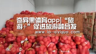 奇异果体育官网